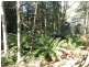 267 South Elliott Road, Elliott TAS 7325