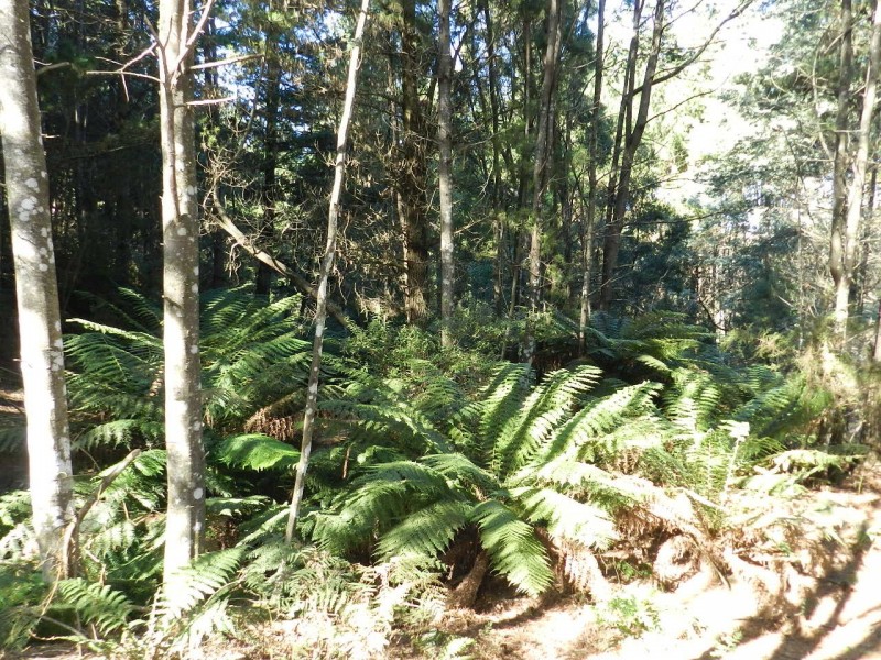 267 South Elliott Road, Elliott TAS 7325