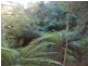 267 South Elliott Road, Elliott TAS 7325