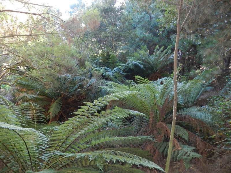 267 South Elliott Road, Elliott TAS 7325