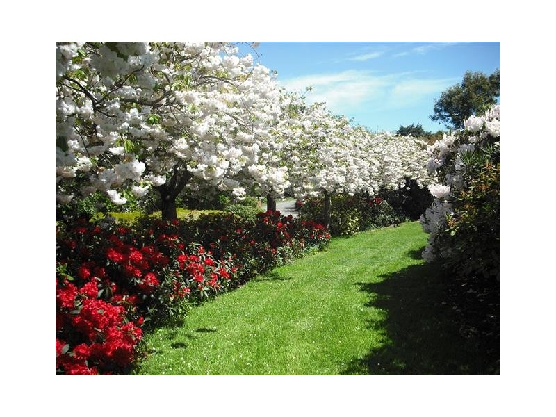 4 Metaira Road, Ridgley TAS 7321