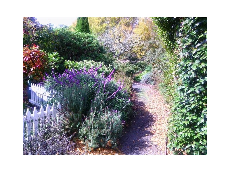 4 Metaira Road, Ridgley TAS 7321