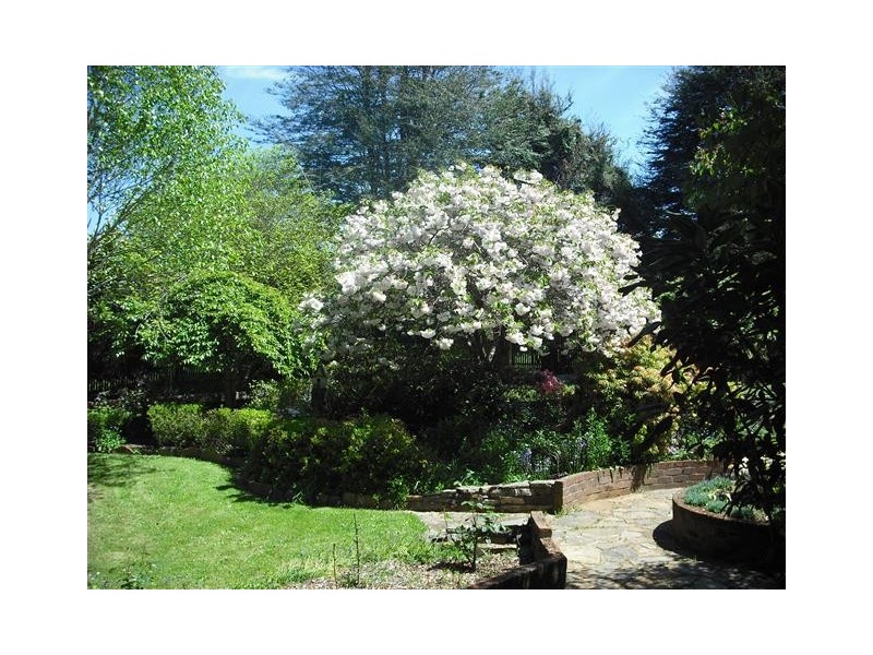 4 Metaira Road, Ridgley TAS 7321