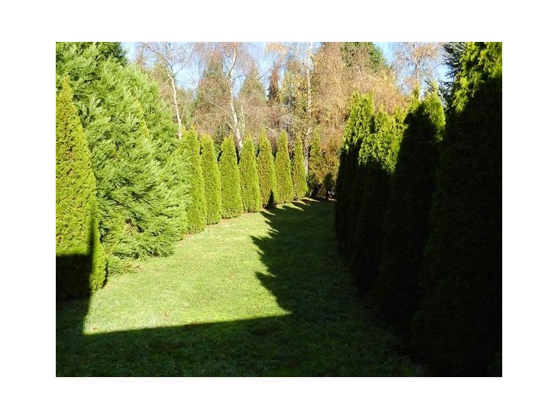 4 Metaira Road, Ridgley TAS 7321