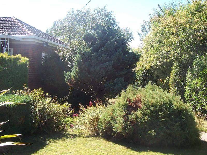 46 Meander Valley Road, Deloraine TAS 7304