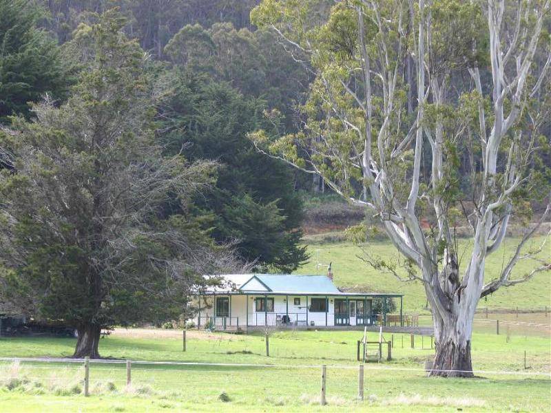 . Liena Road, Mole Creek TAS 7304