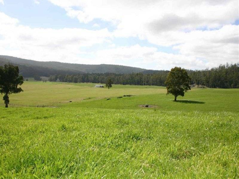 . Liena Road, Mole Creek TAS 7304