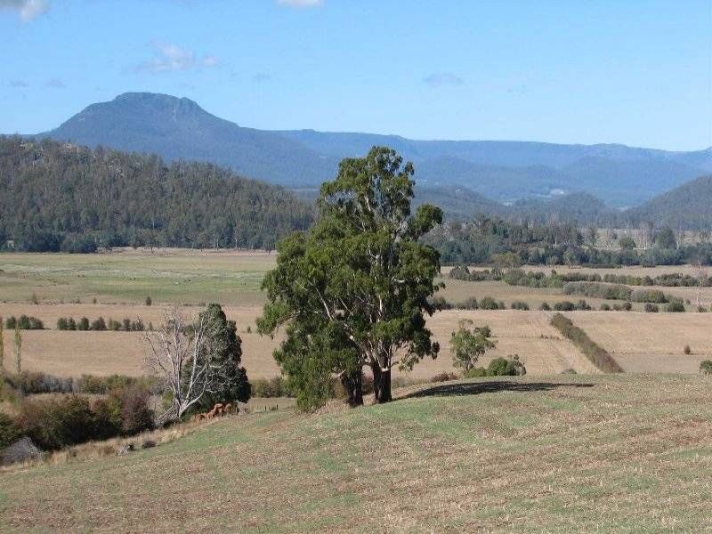 169 Mole Creek Road, Deloraine TAS 7304
