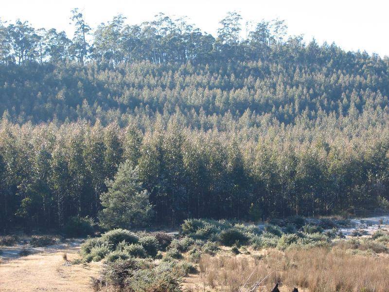 . . Highland Lakes Road, Deloraine TAS 7304