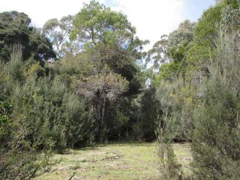 114 Kellys Road, Reedy Marsh TAS 7304