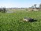1123 Weegena Road, Dunorlan TAS 7304