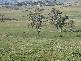 1123 Weegena Road, Dunorlan TAS 7304