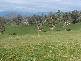 1123 Weegena Road, Dunorlan TAS 7304