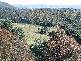 12625 Highland Lakes Road, Golden Valley TAS 7304