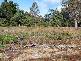 12625 Highland Lakes Road, Golden Valley TAS 7304