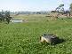 1123 Weegena Road, Dunorlan TAS 7304