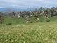 1123 Weegena Road, Dunorlan TAS 7304