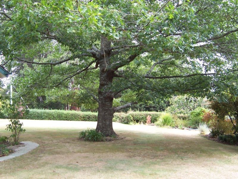 1 Lonsdale Promenade, Westbury TAS 7303