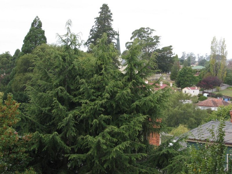 29 Emu Bay Road, Deloraine TAS 7304