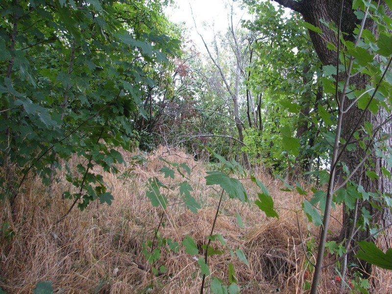 29 Emu Bay Road, Deloraine TAS 7304