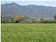 120 Bankton Road, Dairy Plains TAS 7304