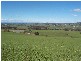 280 Exton Road, Exton TAS 7303