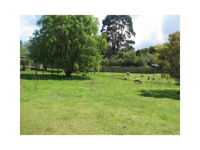 13 Parsonage Street, Deloraine TAS 7304