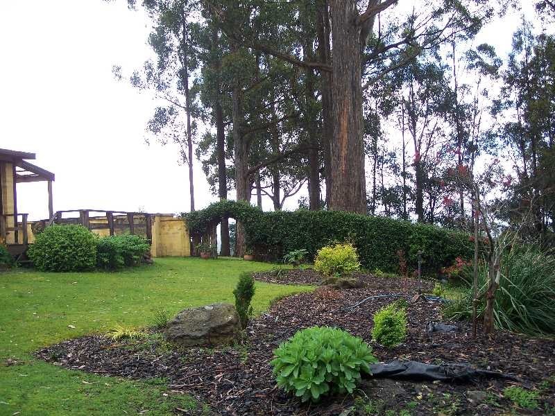 13239 Highland Lakes Road, Golden Valley TAS 7304