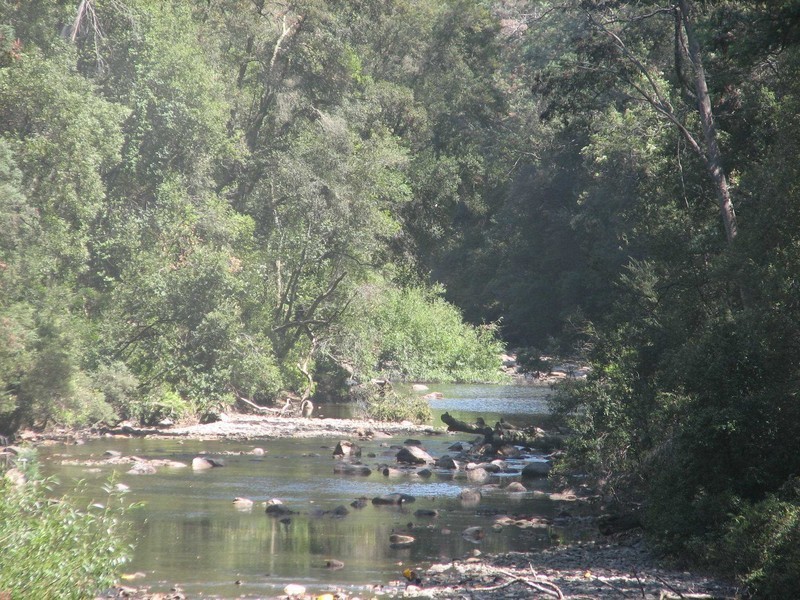 - Meander Road, Deloraine TAS 7304