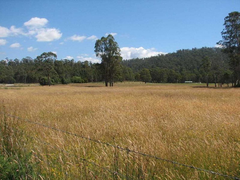 - Meander Road, Deloraine TAS 7304