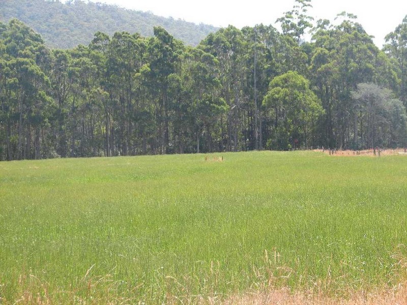 - Meander Road, Deloraine TAS 7304