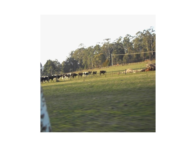 76 Meander Road, Deloraine TAS 7304