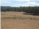 76 Meander Road, Deloraine TAS 7304