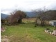353 Union Bridge Road, Mole Creek TAS 7304