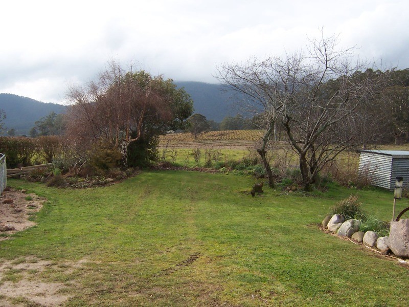 353 Union Bridge Road, Mole Creek TAS 7304