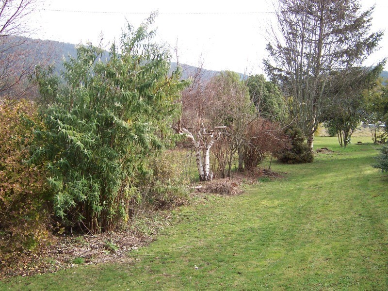 353 Union Bridge Road, Mole Creek TAS 7304