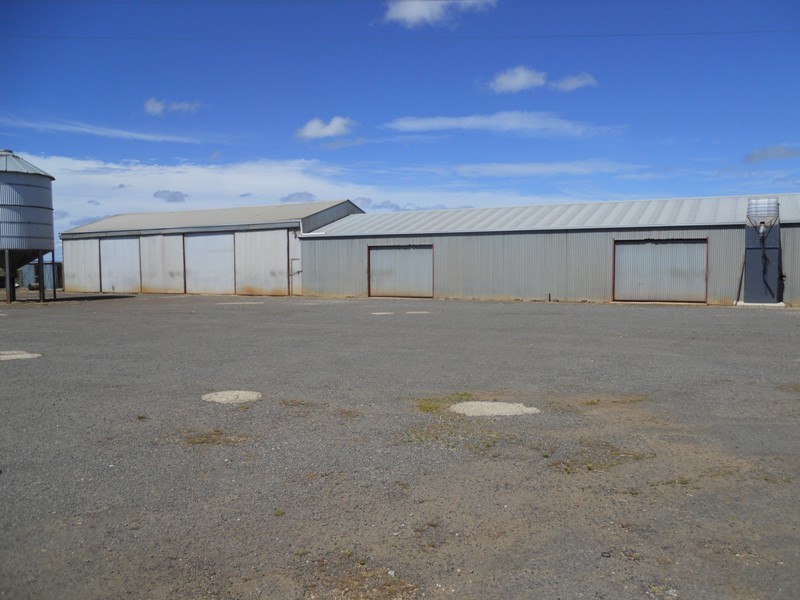 530 Black Lane – SHEDS, Hagley TAS 7292