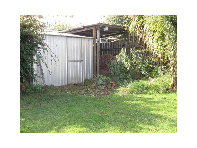 19 Moriarty Street, Deloraine TAS 7304