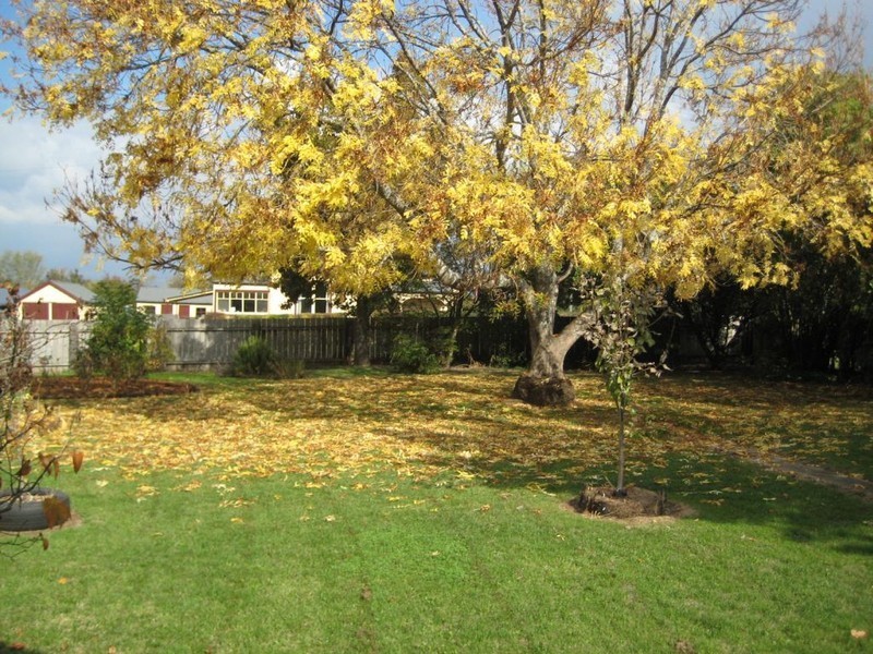 87 William Street, Westbury TAS 7303