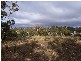 Lot 2 Arthurs Lake Road, Arthurs Lake TAS 7030