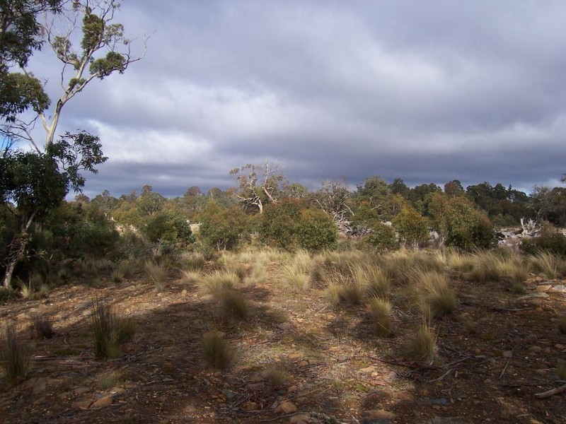 Lot 2 Arthurs Lake Road, Arthurs Lake TAS 7030