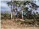 Lot 2 Arthurs Lake Road, Arthurs Lake TAS 7030