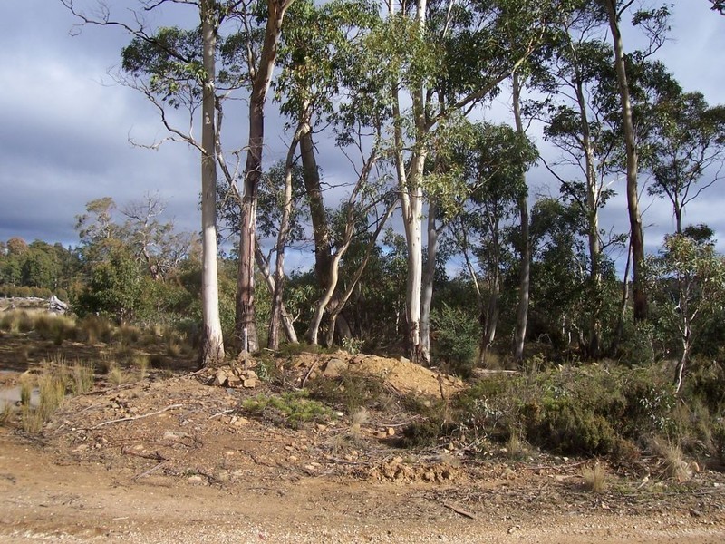 Lot 2 Arthurs Lake Road, Arthurs Lake TAS 7030