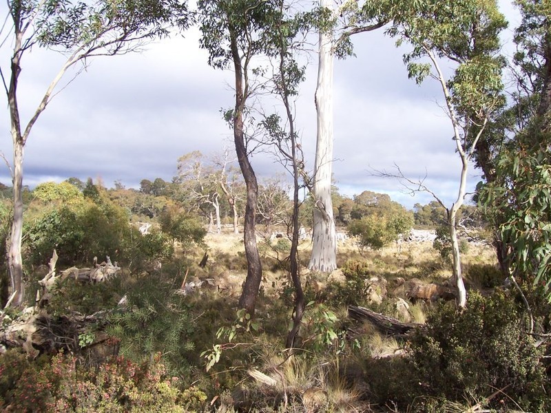 Lot 2 Arthurs Lake Road, Arthurs Lake TAS 7030