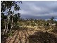 Lot 2 Arthurs Lake Road, Arthurs Lake TAS 7030