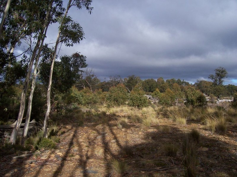 Lot 2 Arthurs Lake Road, Arthurs Lake TAS 7030