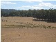 76 Meander Road, Deloraine TAS 7304