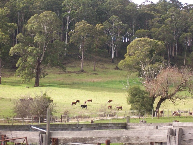 2  Hall Street, Mole Creek TAS 7304