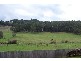 2  Hall Street, Mole Creek TAS 7304