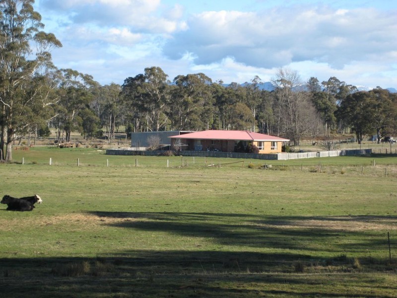 490 Weetah Road, Weetah TAS 7304